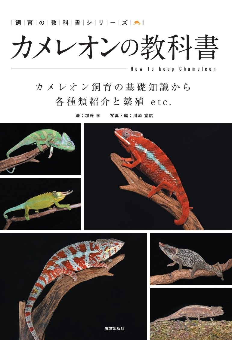 カメレオンの教科書 (飼育の教科書シリーズ) 著:加藤 学 写真・編:川添 宣広